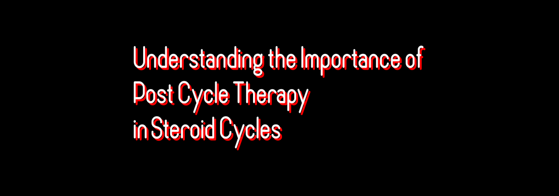Understanding the Importance of Post Cycle Therapy in Steroid Cycles Understanding the Importance of Post Cycle Therapy in Steroid Cycles