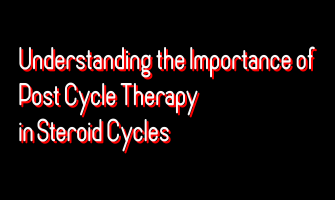 Understanding the Importance of Post Cycle Therapy in Steroid Cycles