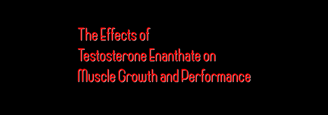 The Effects of Testosterone Enanthate on Muscle Growth and Performance The Effects of Testosterone Enanthate on Muscle Growth and Performance