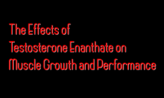 The Effects of Testosterone Enanthate on Muscle Growth and Performance