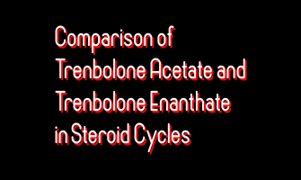 Comparison of Trenbolone Acetate and Trenbolone Enanthate: Usage and Combinations in Steroid Cycles