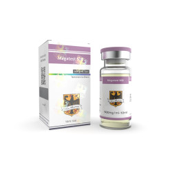 Odin Pharma Megatest 500