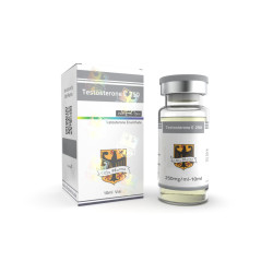 Odin Pharma Testosterone E 250
